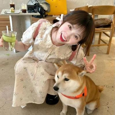 暗金烂狗7